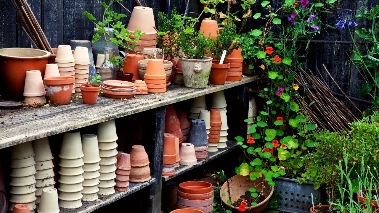 How to arrange garden pots? Step by Step Guides