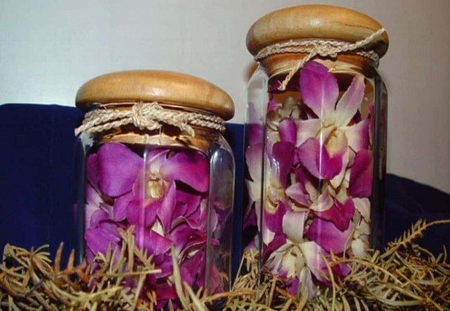 how to preserve orchid flowers