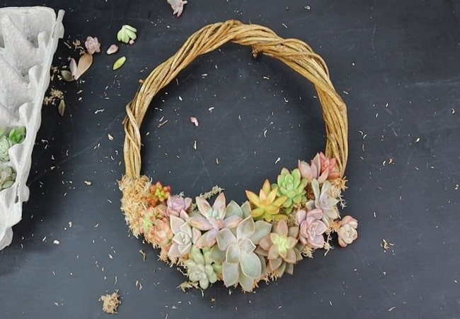 How To Make A Grapevine Succulent Wreath