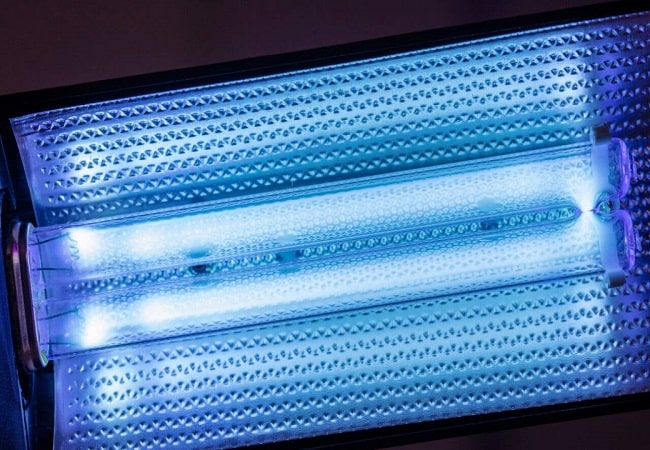Is A Grow Light The Same As A UV Light? Everything You Need To Know