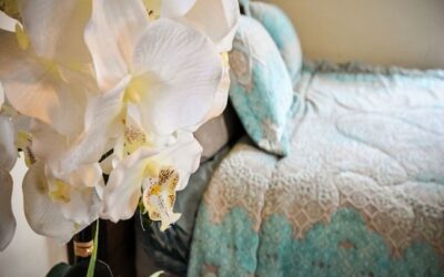 Can I Keep Orchids In My Bedroom? The Definitive Guide
