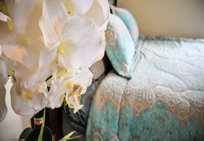Can I Keep Orchids In My Bedroom
