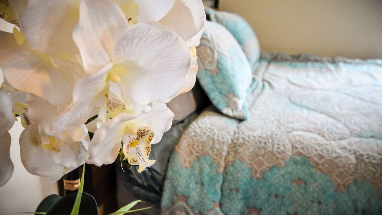 can-i-keep-orchids-in-my-bedroom