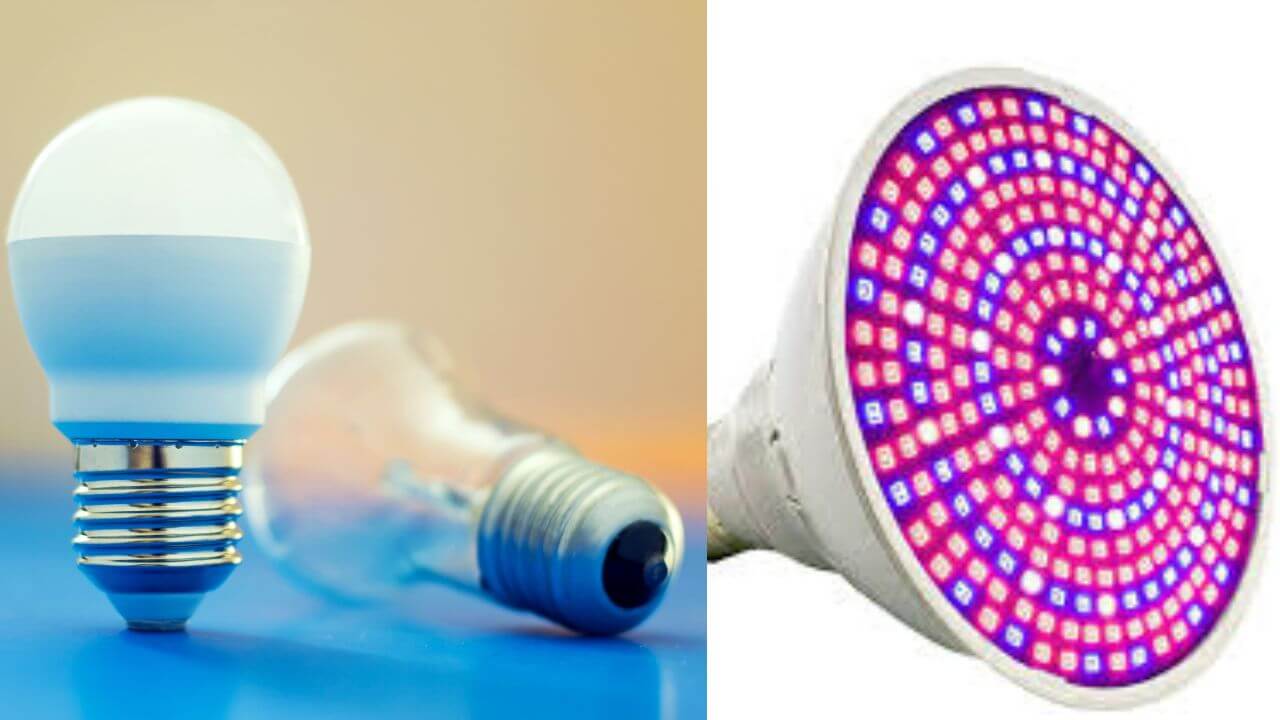 difference-between-led-lights-and-led-grow-lights