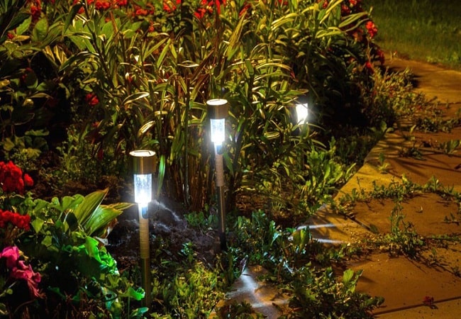 Using Grow Lights Outdoors? The Ultimate Guide