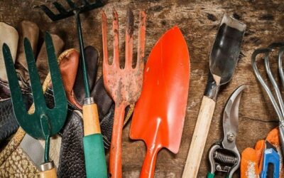 Here Are Some Of The Best Garden Tools For Cactus Enthusiasts