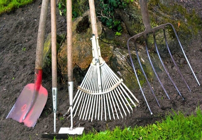 The Ultimate Guide To The Best Garden Tool To Get rid Of Weeds