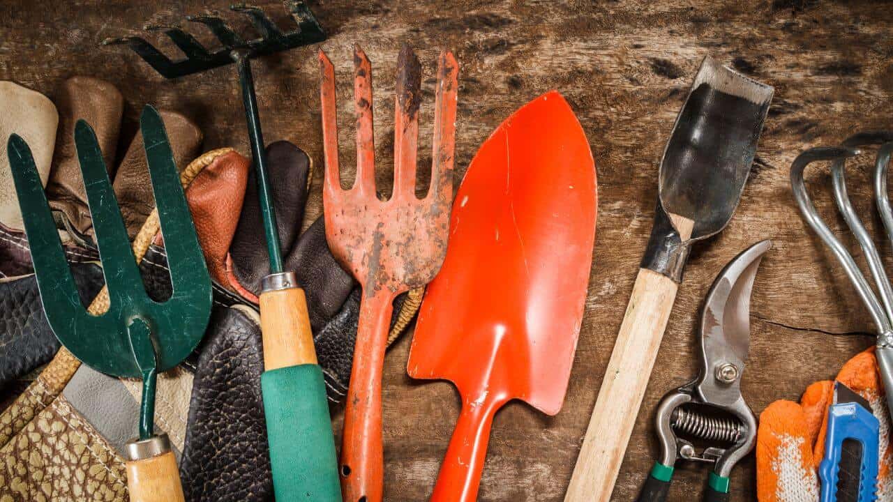 Here Are Some Of The Best Garden Tools For Cactus Enthusiasts!