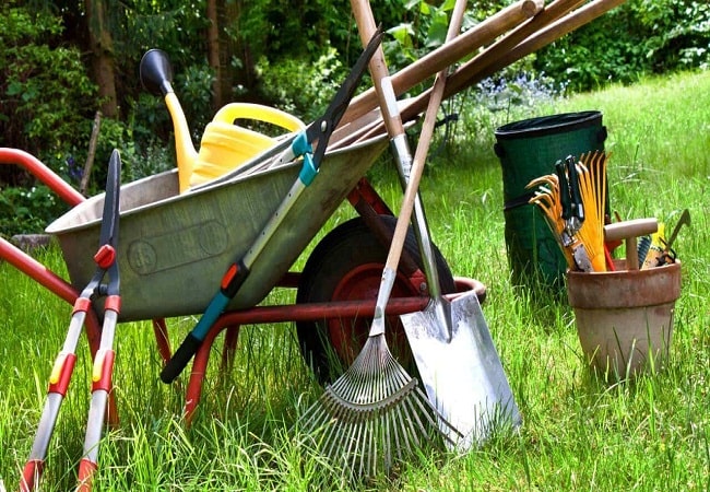 The Best Garden Tools Tomatoes Equipment For A Garden