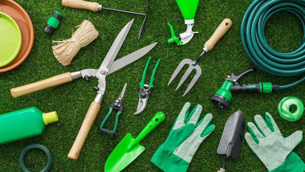 The Succulent Gardener’s Guide To The Best Tools For Mini Gardens