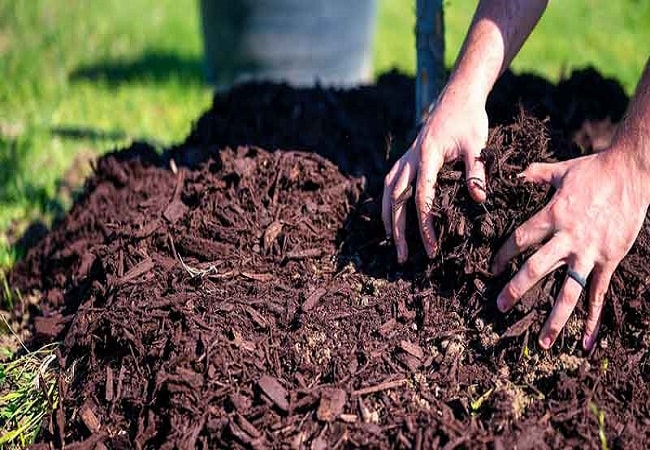 how to mix compost into soil