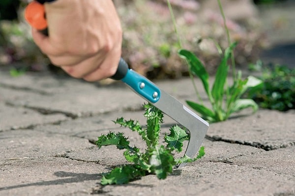 Best Garden Tool To Get rid Of Weeds