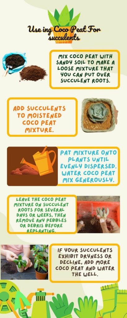 Can I Use Coco Peat For Succulents