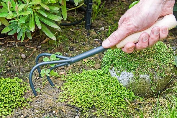Mini Garden Tools For Succulents