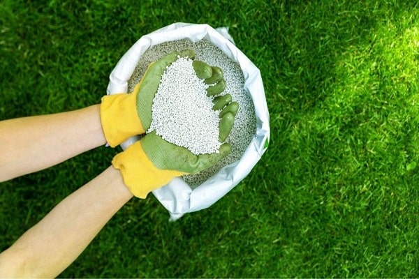 How To Keep Grass Out Of Garden