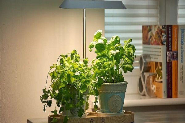Led Grow Lights Use A Lot Of Electricity