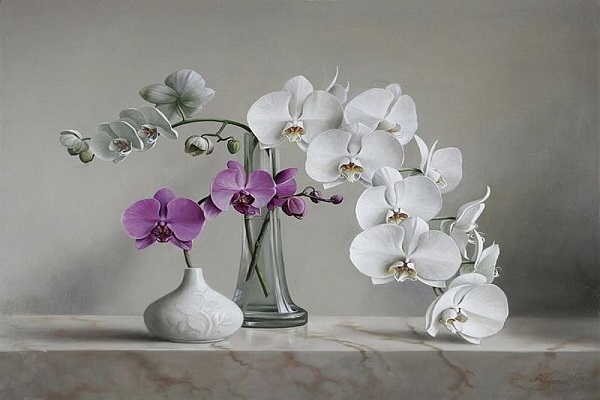 Orchids Live
